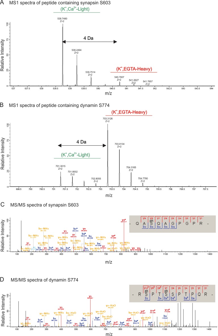 Figure 2—figure supplement 5.