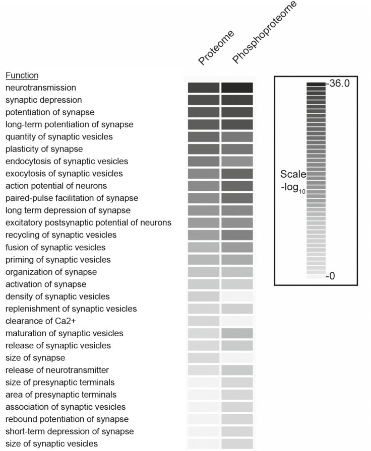 Figure 2—figure supplement 2.