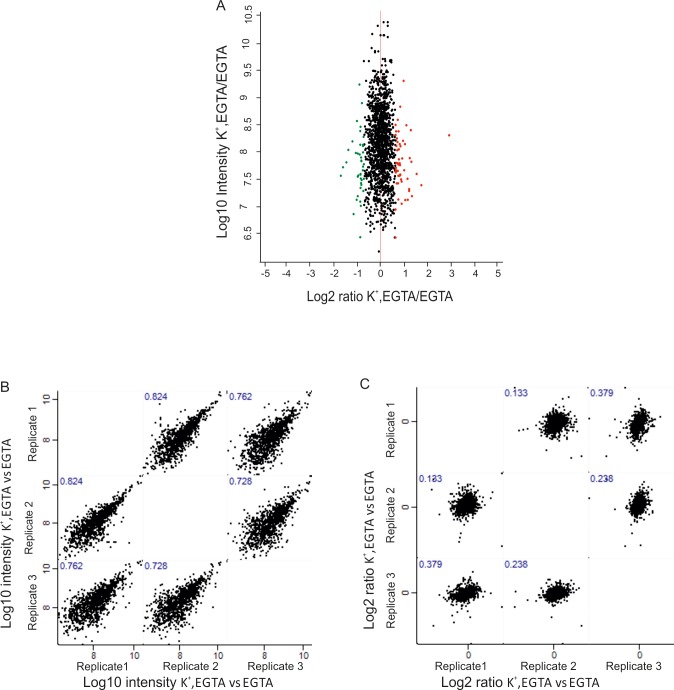 Figure 2—figure supplement 4.