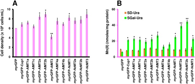 Fig 6