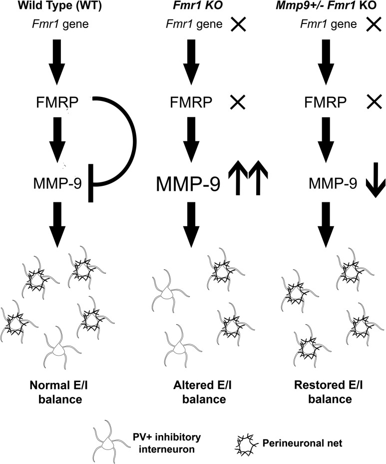 Figure 7.