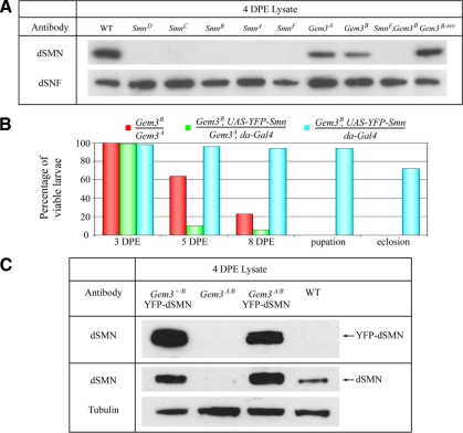 Figure 6.