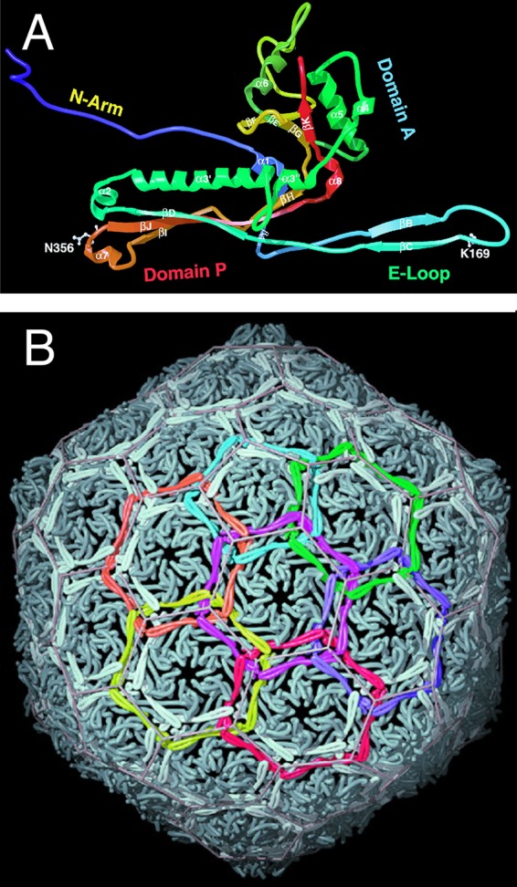 FIG 3