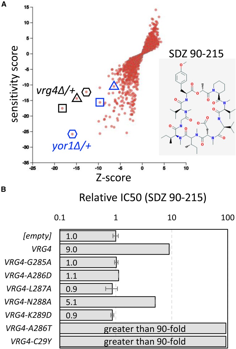 Figure 5