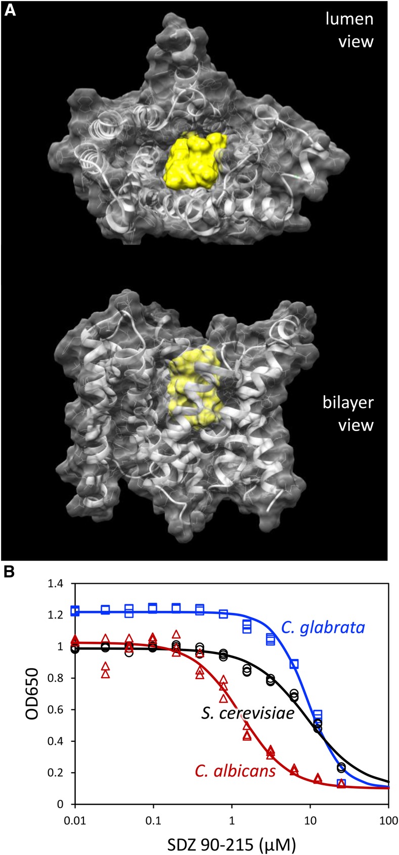 Figure 7