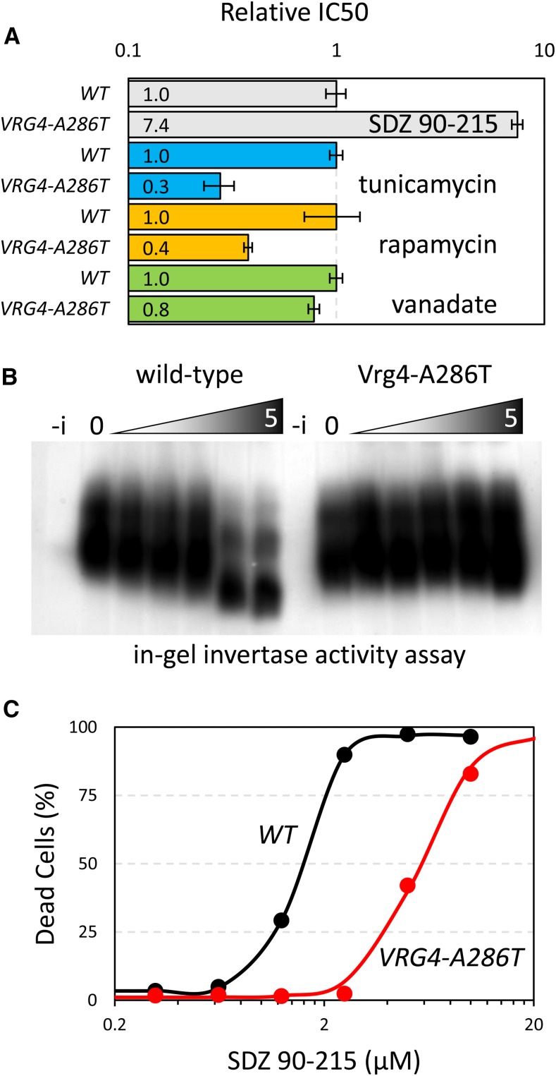 Figure 6