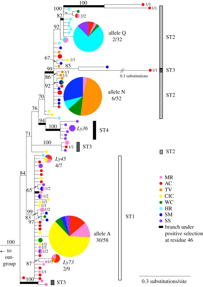 Figure 2.