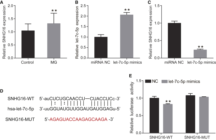 Figure 3