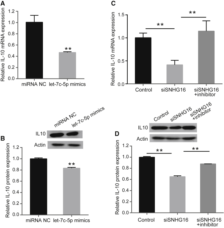 Figure 4