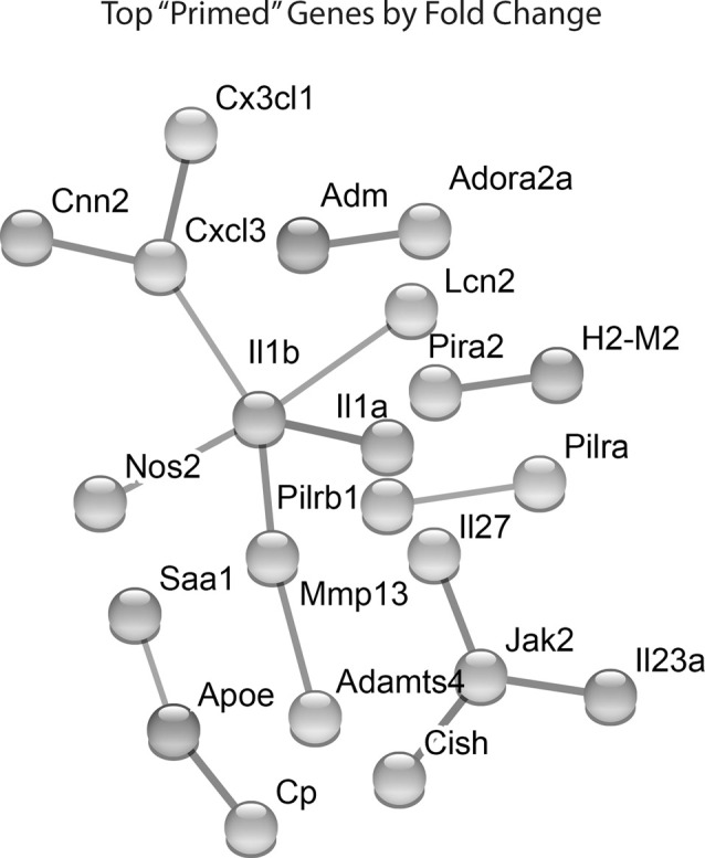 Figure 4