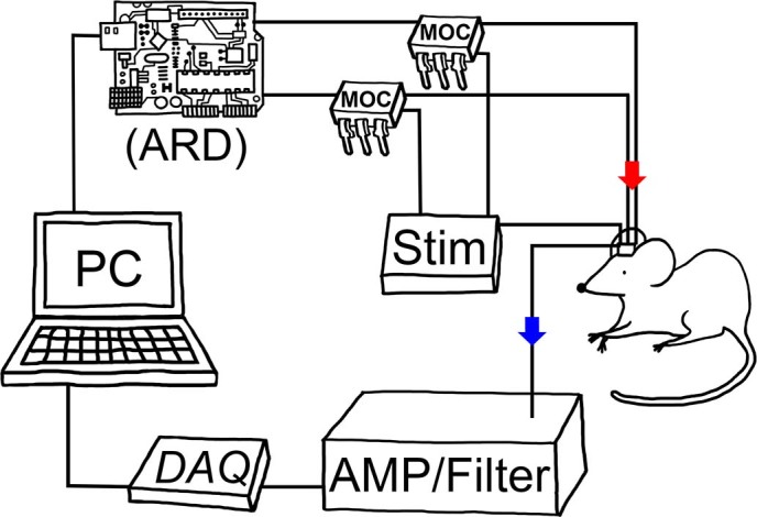 Figure 2