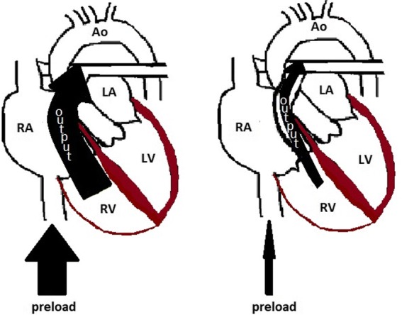 Fig. 8