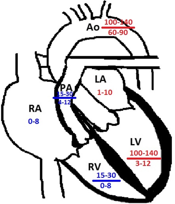 Fig. 2