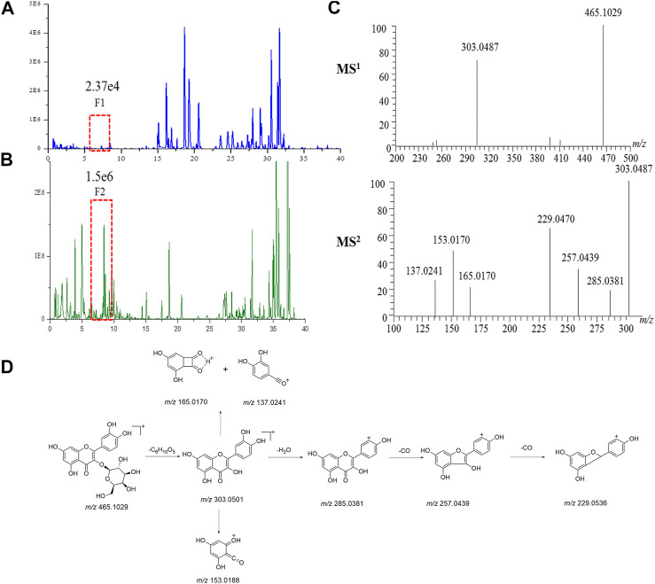 FIGURE 4