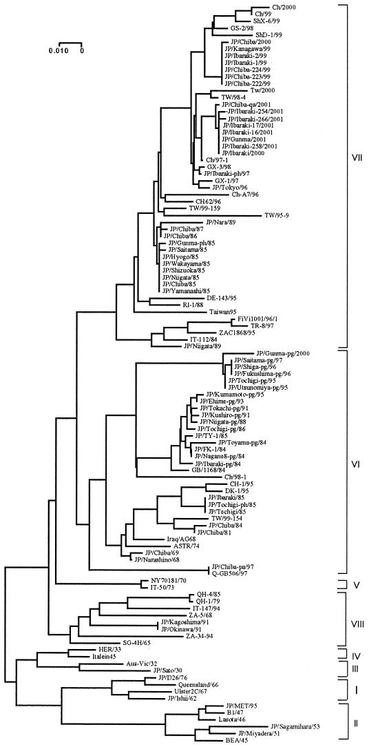 FIG. 1.