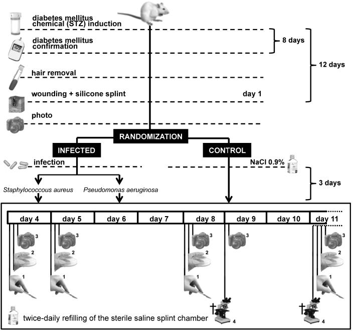 Figure 3.