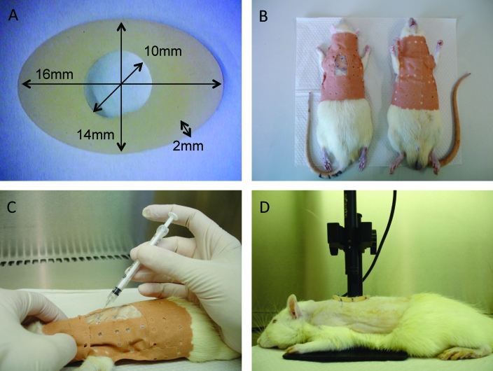 Figure 2.