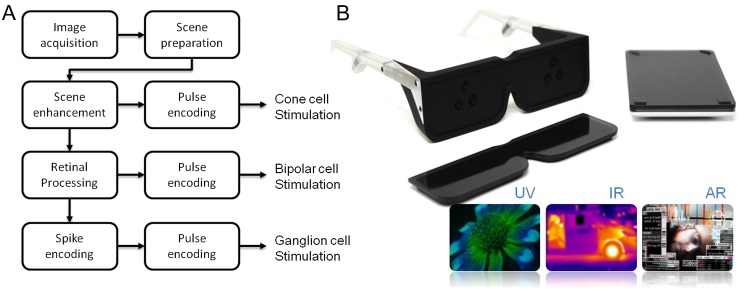 Fig. 4.