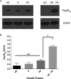 FIG 1
