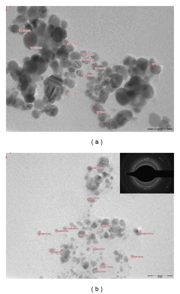 Figure 13