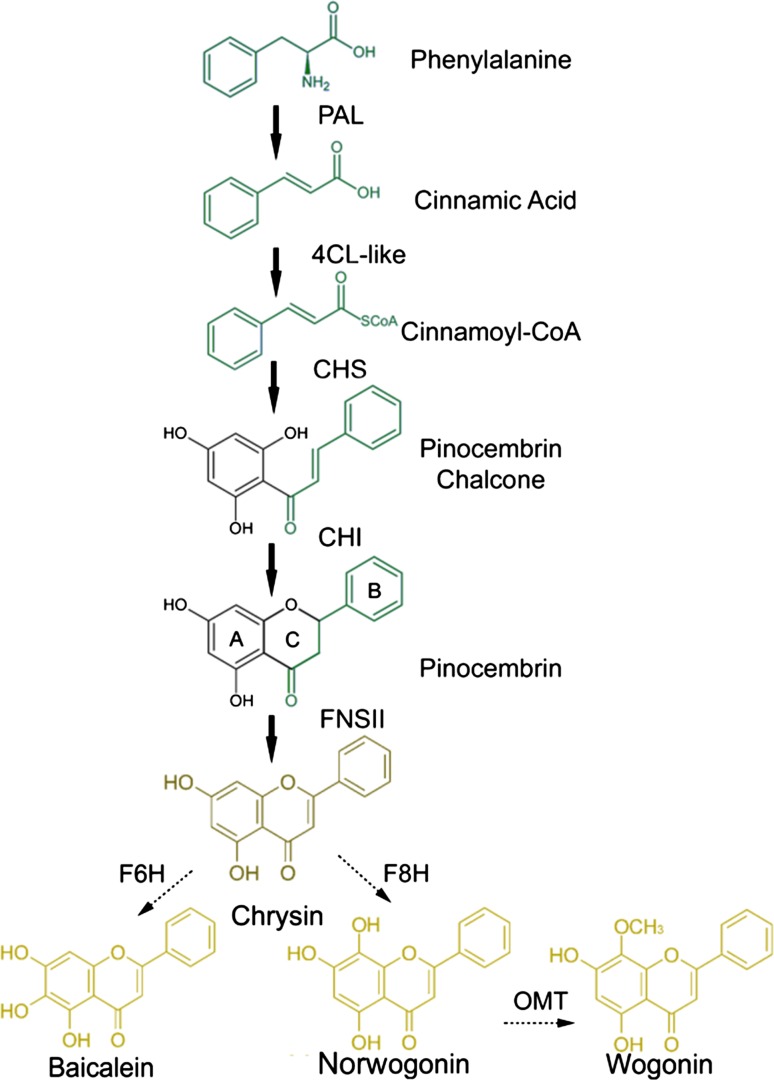 Fig. 4