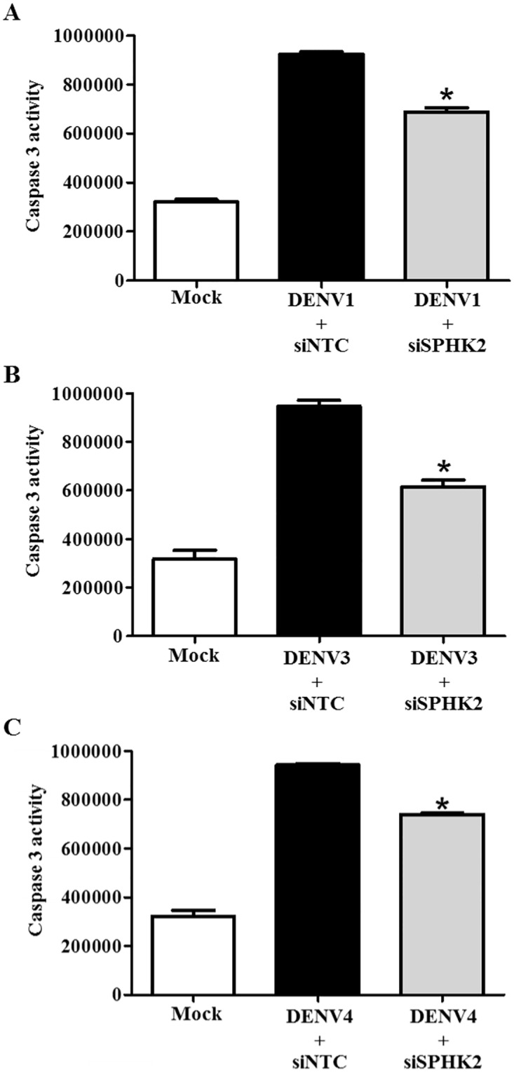 Fig 10