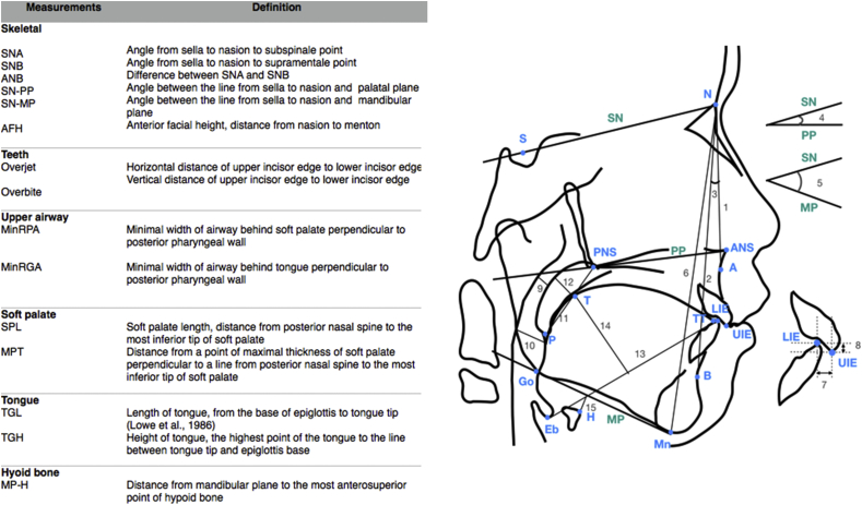 Figure 2