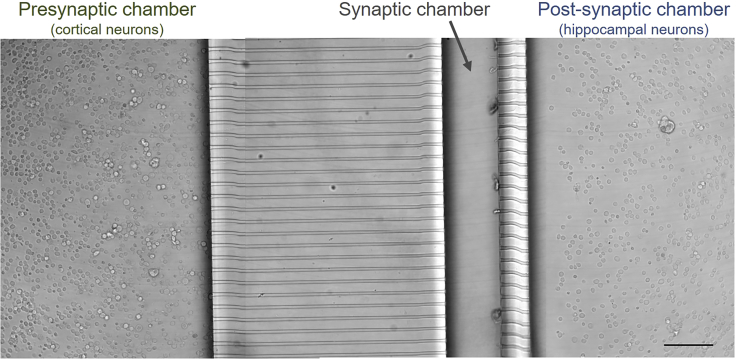 Figure 4