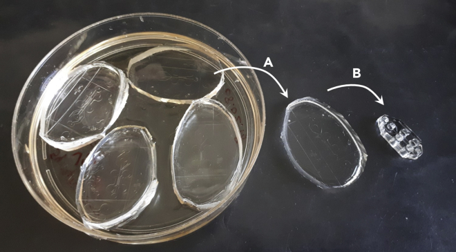 Figure 2