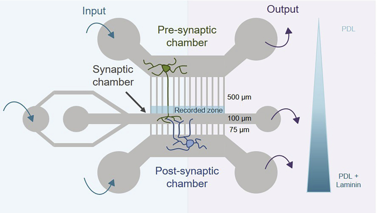 Figure 1