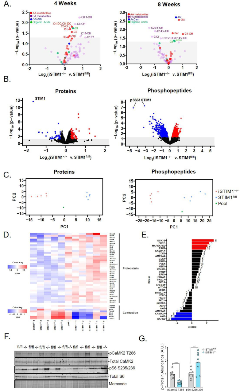 Figure 6