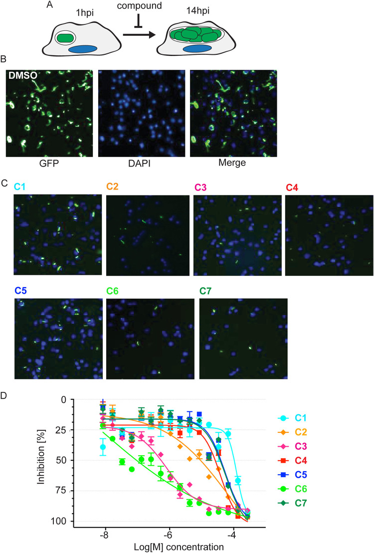 FIG 3