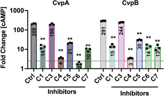 FIG 6