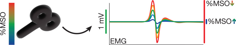 Appendix 6—figure 1.