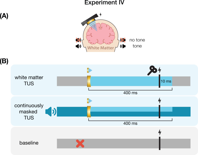 Appendix 7—figure 4.