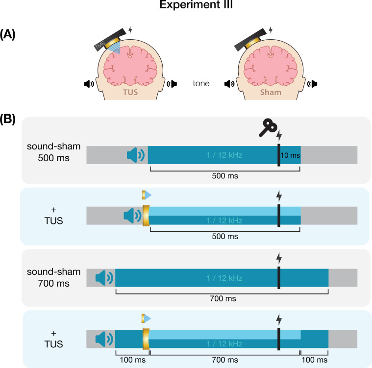 Appendix 7—figure 3.