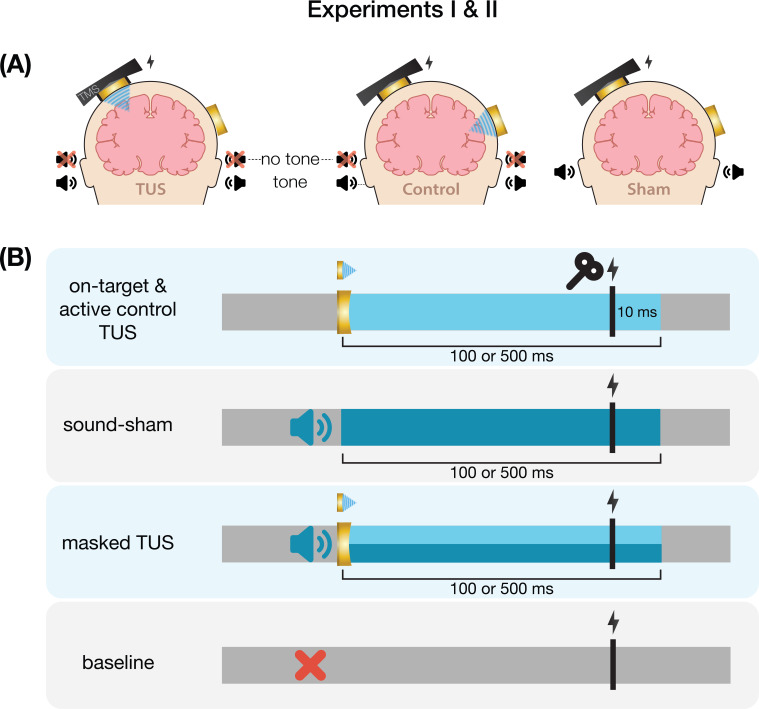 Appendix 7—figure 2.