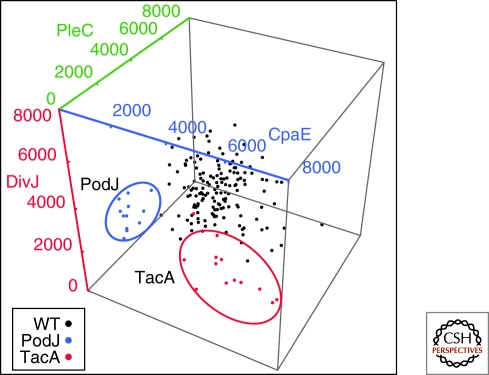 Figure 5.