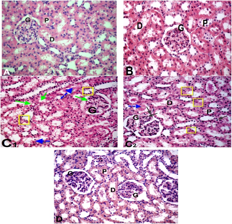 Fig. 7