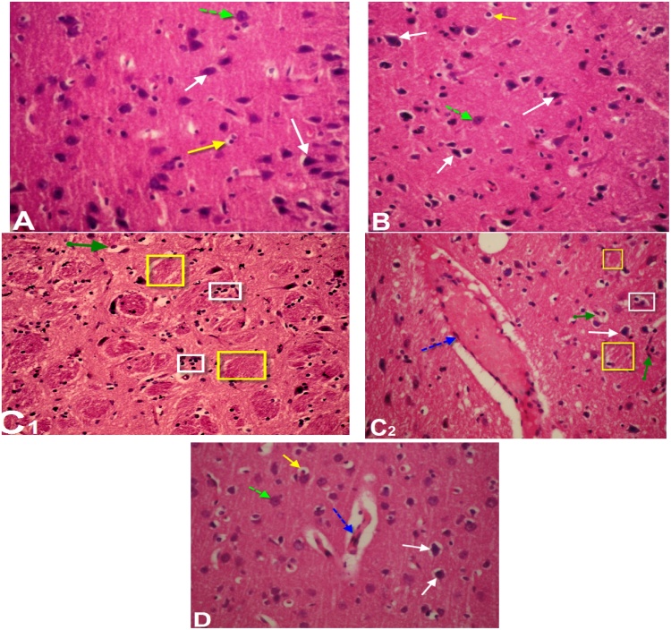 Fig. 6