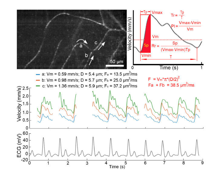 Fig. 10