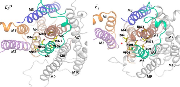 Figure 7.