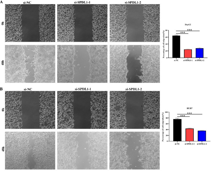 Fig. 12