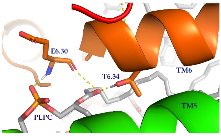 Figure 6