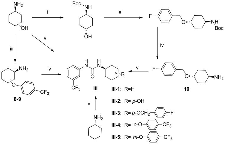 Scheme 2