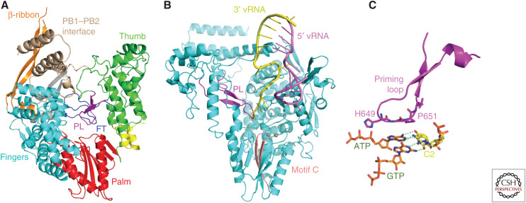 Figure 6.