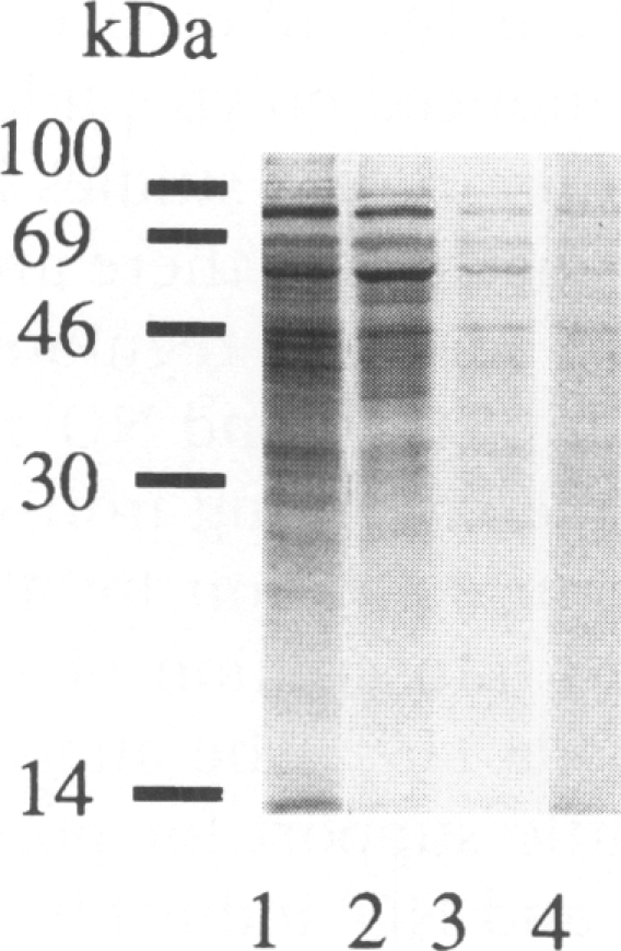 FIG. 5