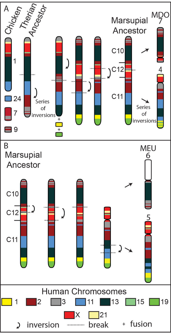 Figure 7