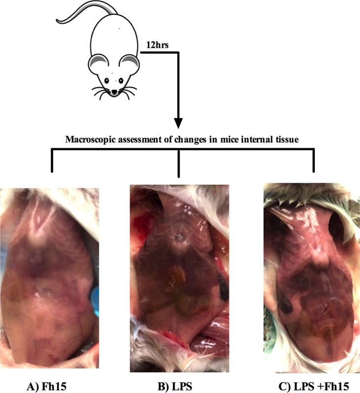 FIG 2