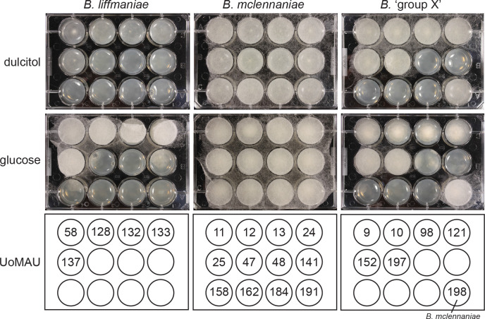 Fig. 11